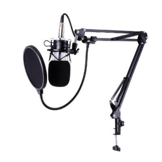 BM-700 Condenser Sound Recording Microphone
