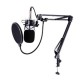 BM-700 Condenser Sound Recording Microphone